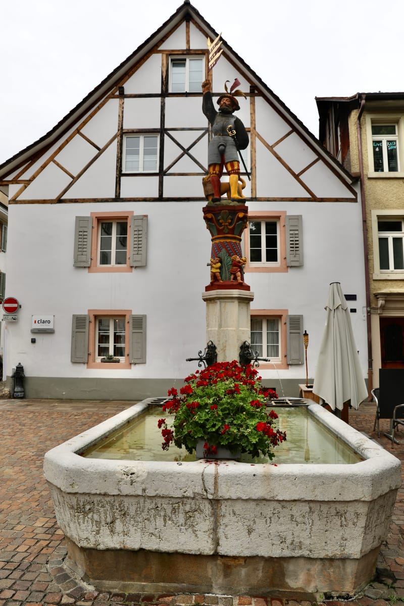 6. SUISSE 4/ALLEMAGNE 3 : Rheinfelden (Sui.), Chutes du Rhin-Neuhausen (All.)