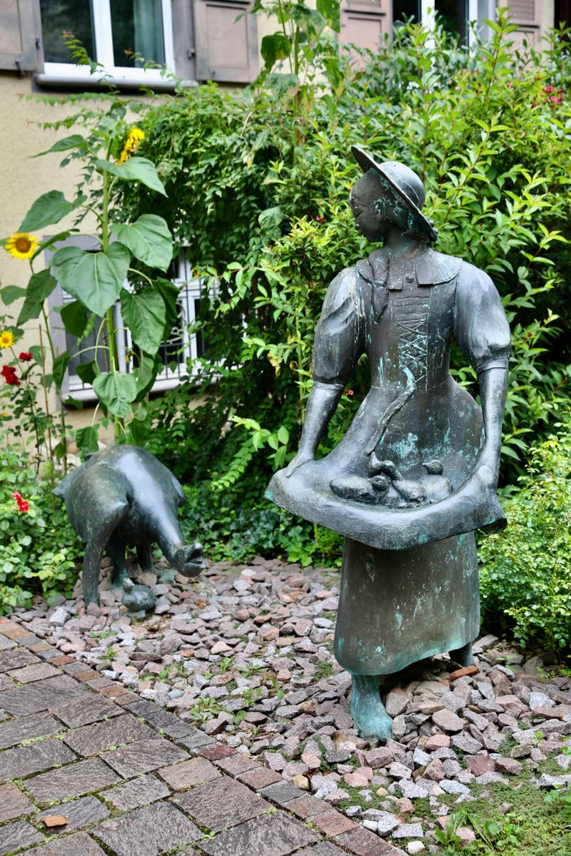 6. SUISSE 4/ALLEMAGNE 3 : Rheinfelden (Sui.), Chutes du Rhin-Neuhausen (All.)