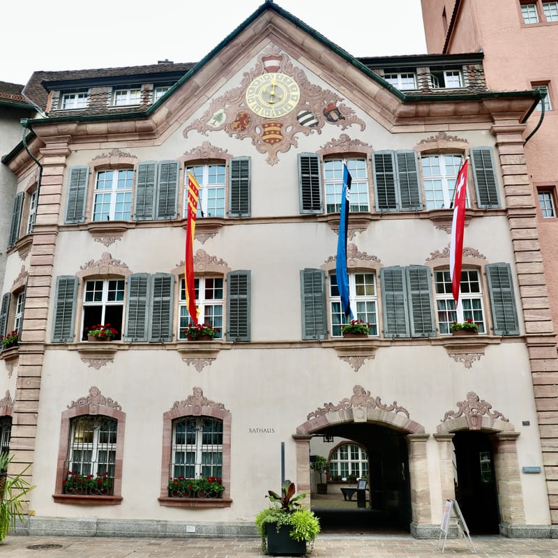 6. SUISSE 4/ALLEMAGNE 3 : Rheinfelden (Sui.), Chutes du Rhin-Neuhausen (All.)