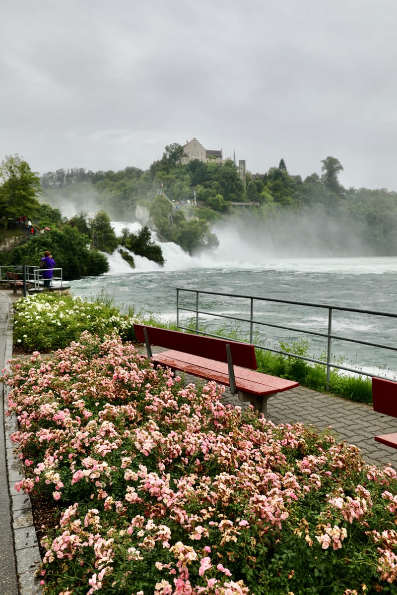 6. SUISSE 4/ALLEMAGNE 3 : Rheinfelden (Sui.), Chutes du Rhin-Neuhausen (All.)