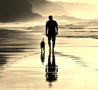 Cos&#039;è Zampina image