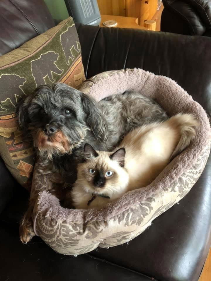 Maggie continues to improve with SSP!