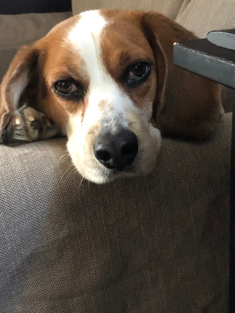 Jasper's SSP Experience - Every Nervous System is Different