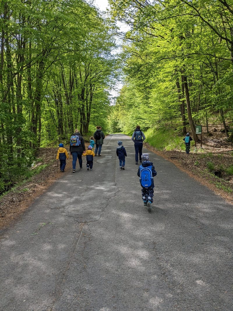 Waldspielgruppe image