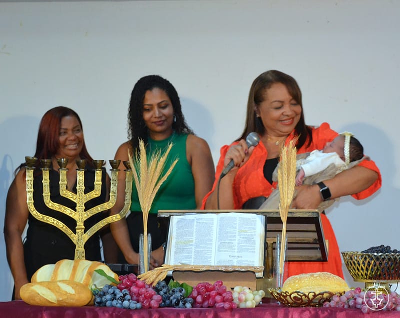 APRESENTAÇÃO DA ANA LIZ