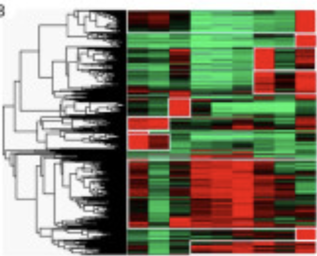 Systems Biology and Metabolism