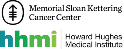 OUR ORGANIZATIONS image