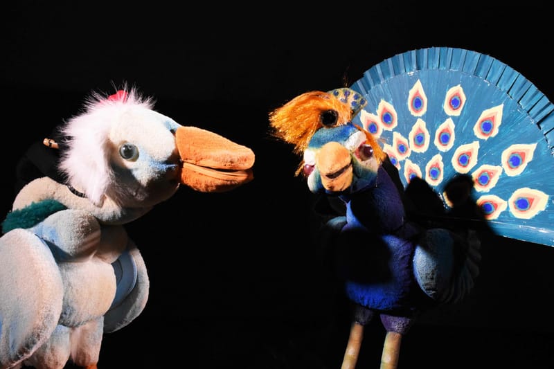 IL SEGRETO DEL BOSCO