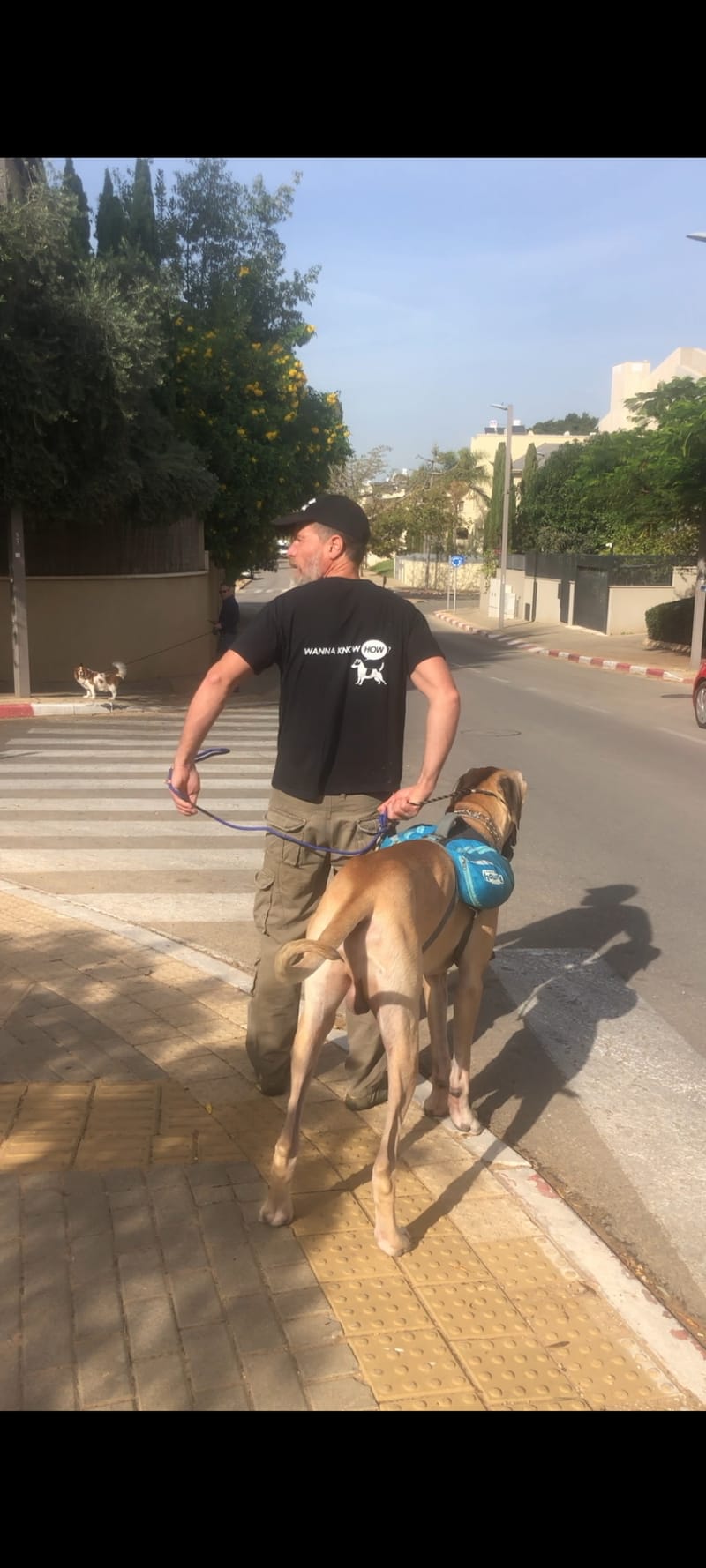 אימון