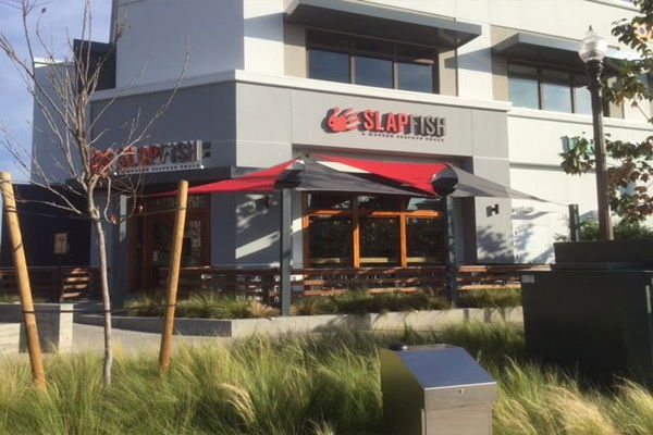 BlackCoffee Fabric Awning & Canopy Designs Include