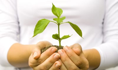 WHAT IS LIFE CONSULTING? image