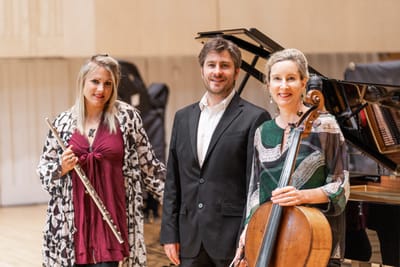 EARTHTONES TRIO: SKIRMISH