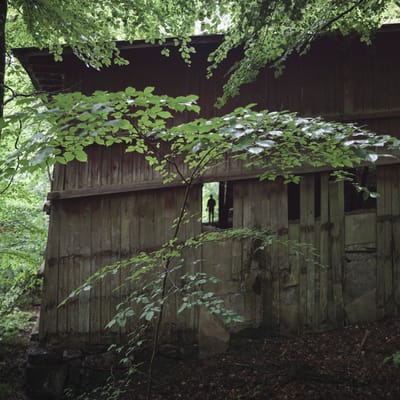 FRANCIS ALBAN: LOS ECOS DEL PASADO RESUENAN EN EL PRESENTE