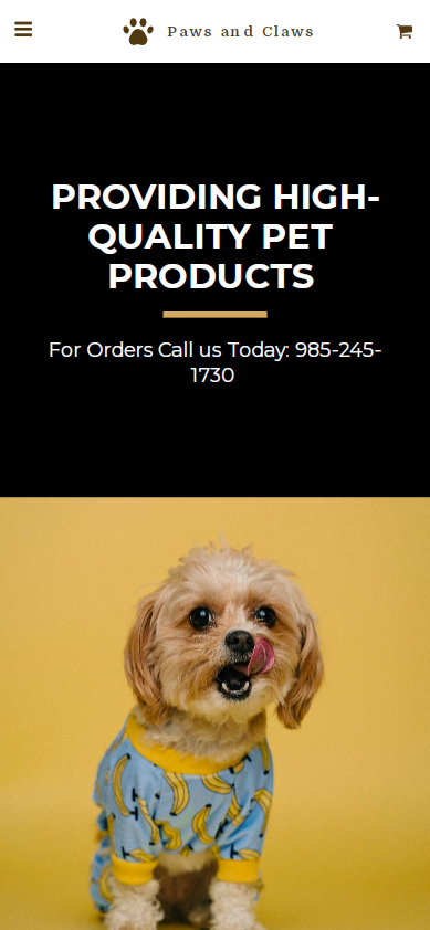 Premium Boutique Website Templates SITE123