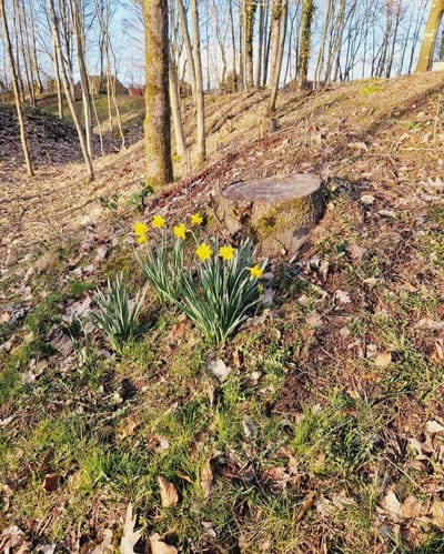 Rahmenbedingungen... image