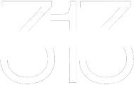 313 Visuals