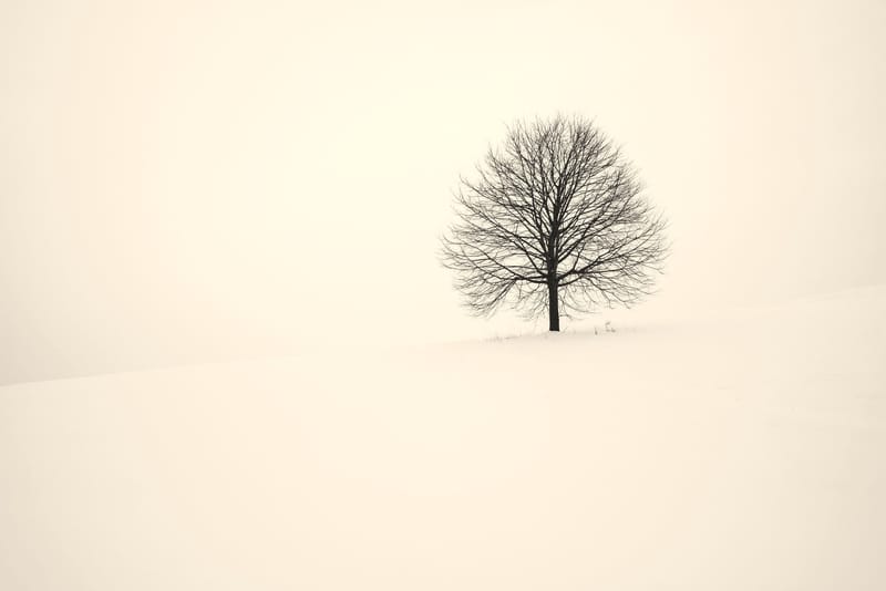 Vantage Point
