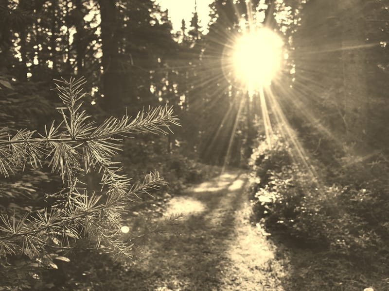 The Danger of Negative Self Talk