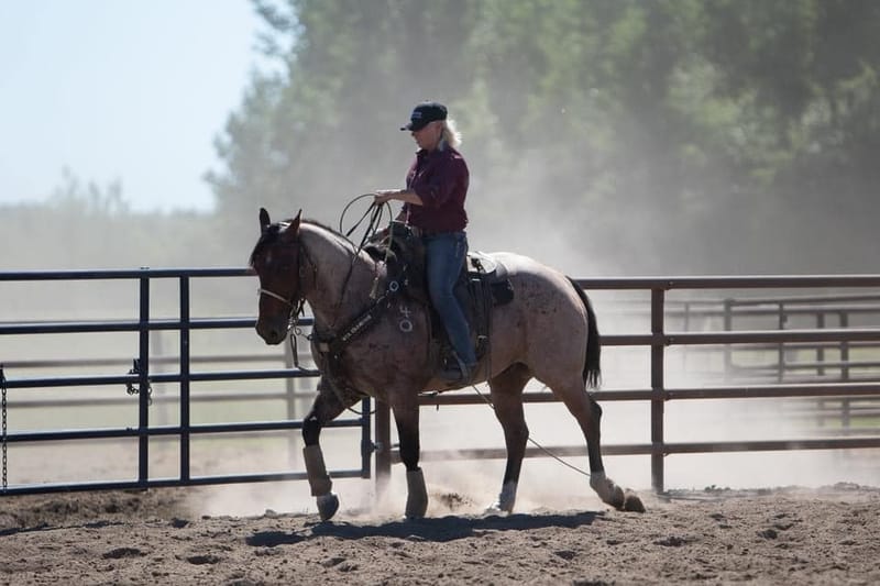 Roping/Horsemanship Lessons