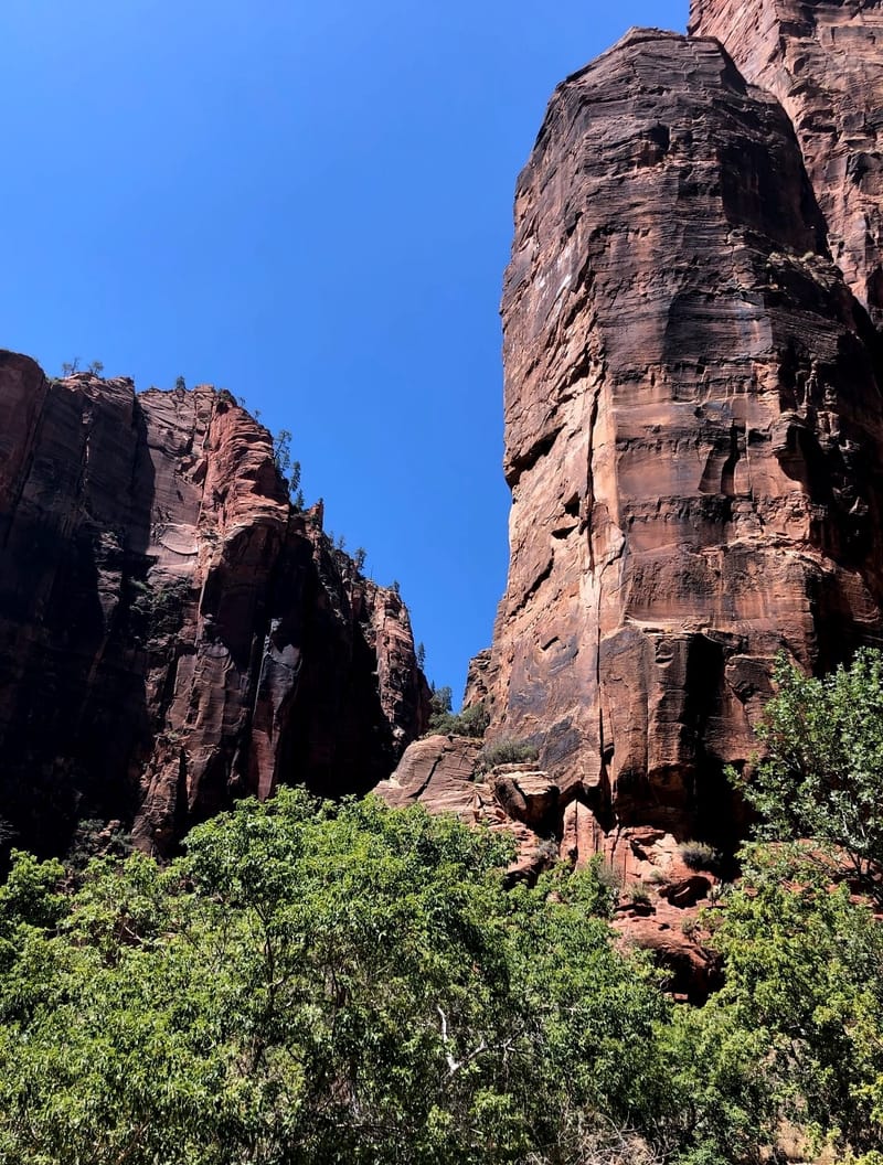 ZION NATIONAL PARK - UTAH -USA