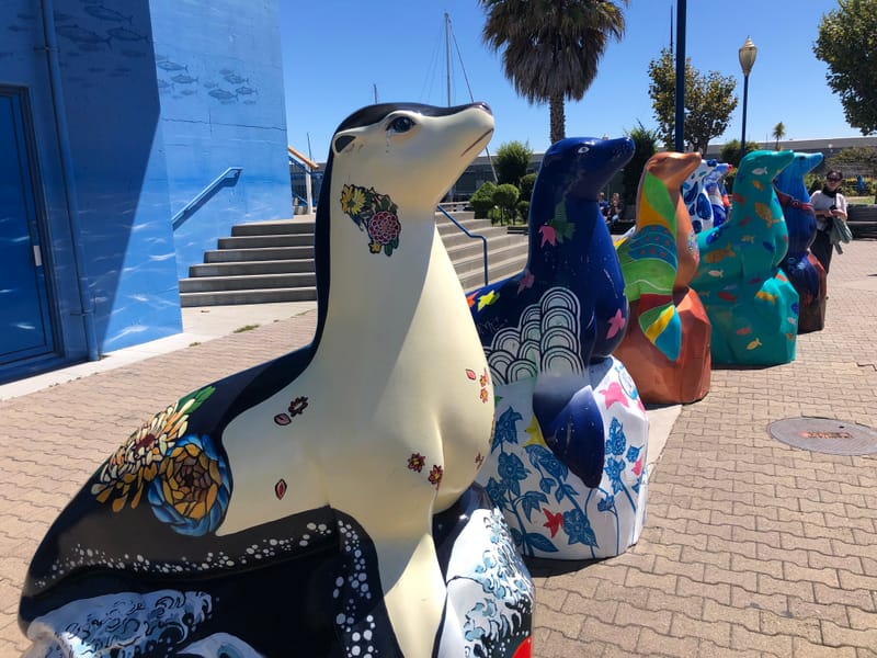 SAN FRANCISCO - Californie -USA