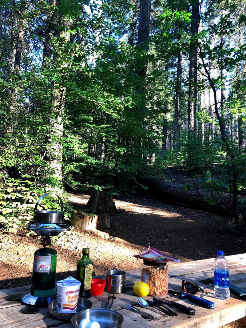 CAMPING PARMI LES SÉQUOIAS