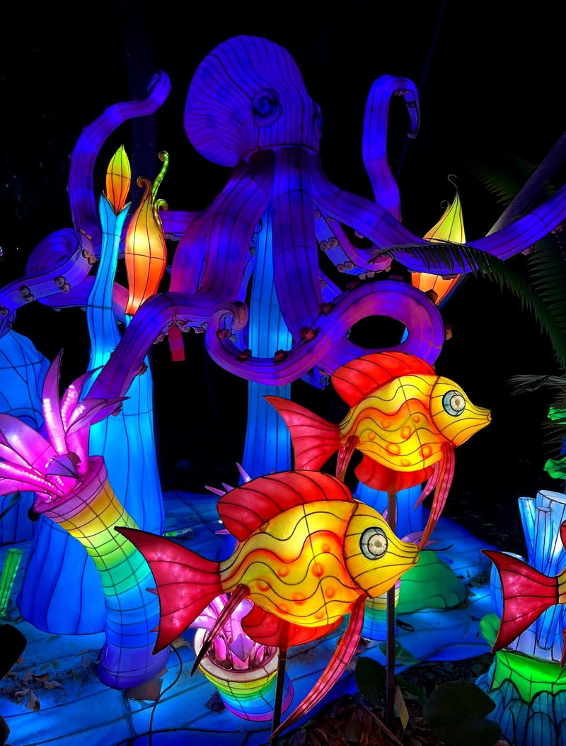 LUMINOSA - MIAMI -USA