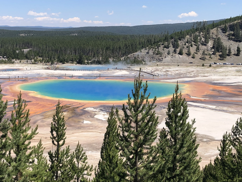 NATIONAL STATE PARK YELLOWSTONE - MONTANA - USA