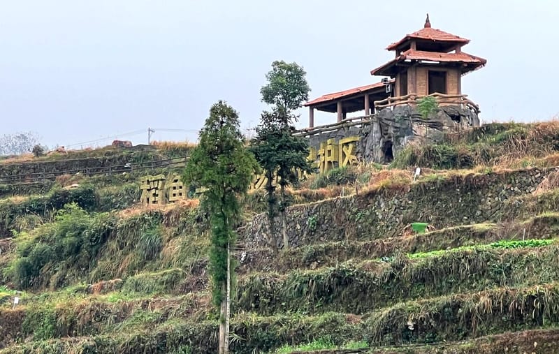 DÉCOUVERTE DE LA CHINE - 3 - LE MONDE RURAL