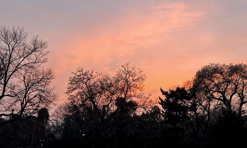 DÉCOUVERTE DE LA CHINE - 4 - BEIJING - le jardin d'été