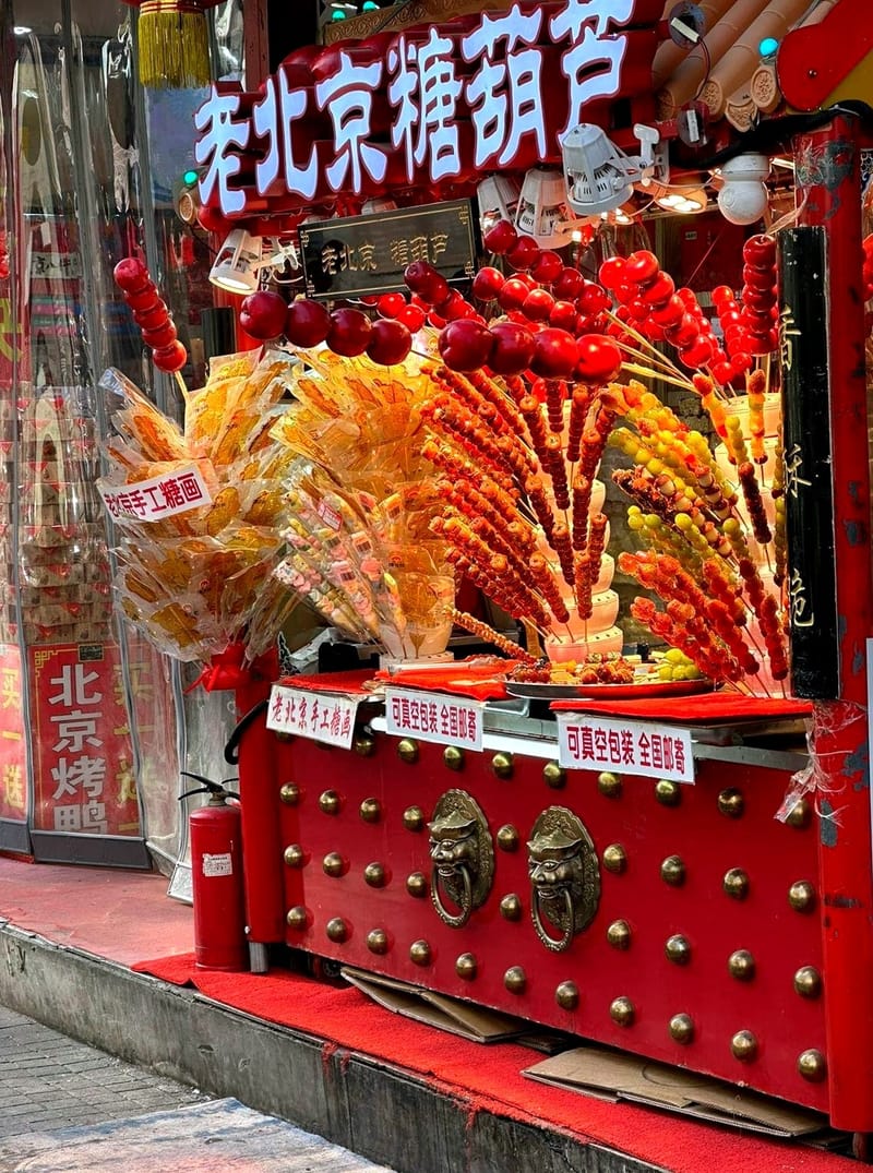 DÉCOUVERTE DE LA CHINE - 5 - La cité interdite et le temple du soleil