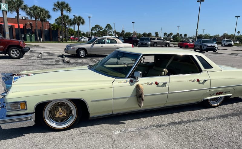 EXPO DE VOITURES AMÉRICAINES - USA