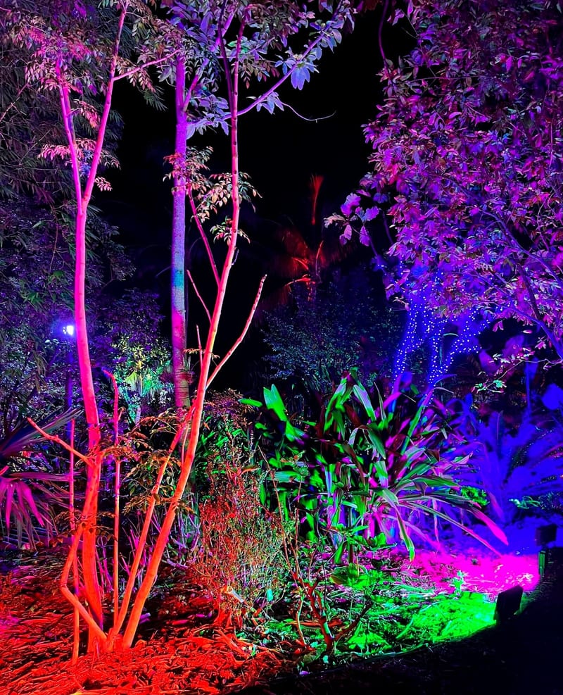 ILLUMINATIONS DU JARDIN BOTANIQUE - NAPLES - FL.  USA