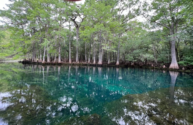 PARC D’ÉTAT DE MANATEE SPRINGS - USA