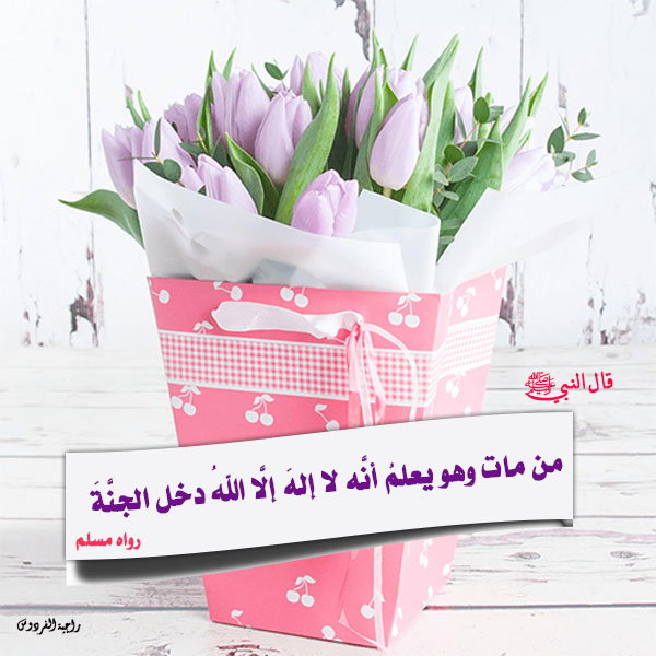 من مات وهو يعلمُ أنَّه لا إلهَ إلَّا اللهُ دخل الجنَّةَ