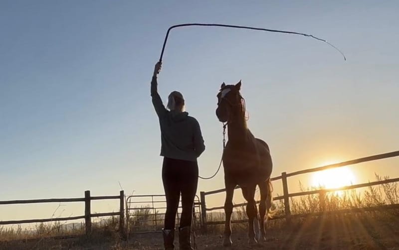 Horse Training