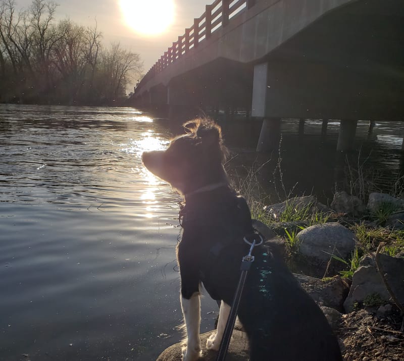 Butterflies and other bugs are some of her favorite things
