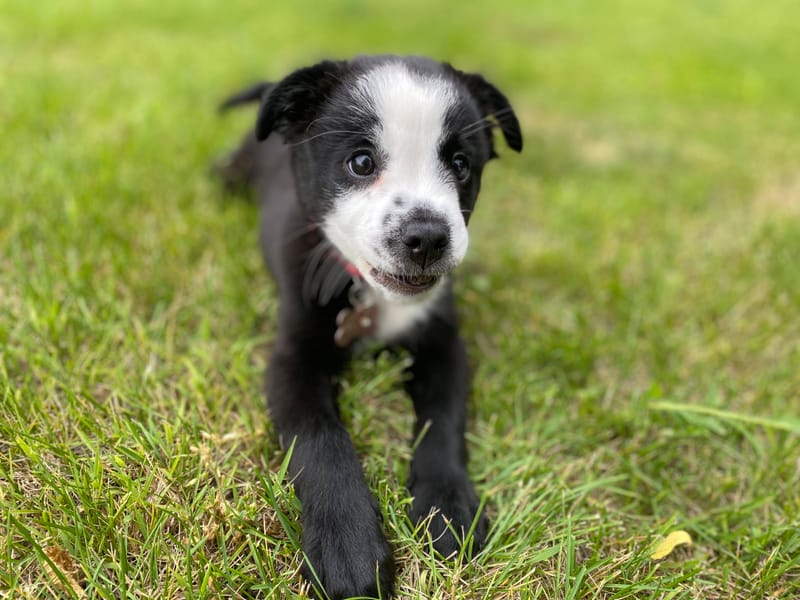 Not so little anymore