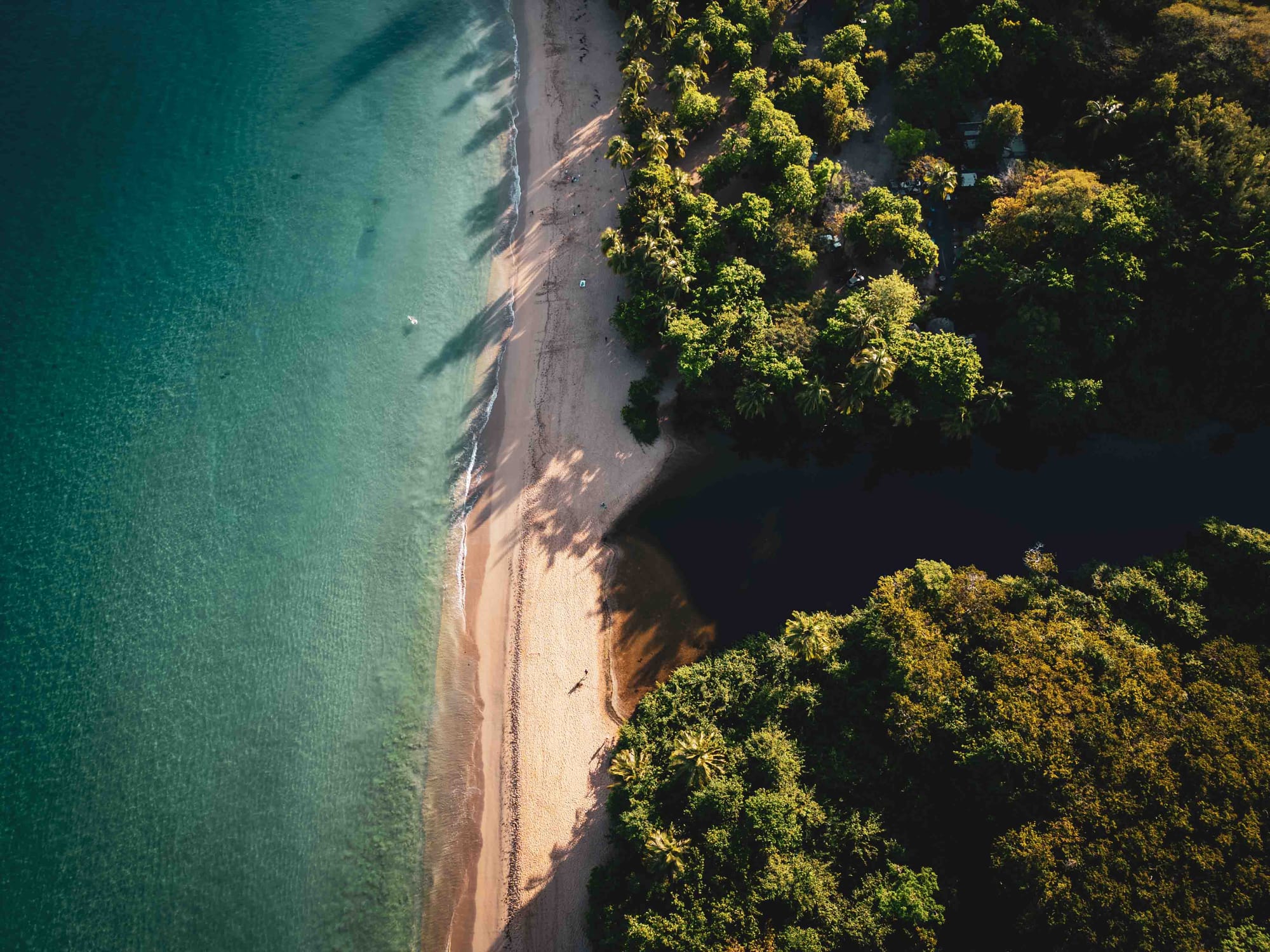 🌴👶🏽 Un moment magique à Grande Anse, Deshaies, Guadeloupe ! 👶🏽🌴