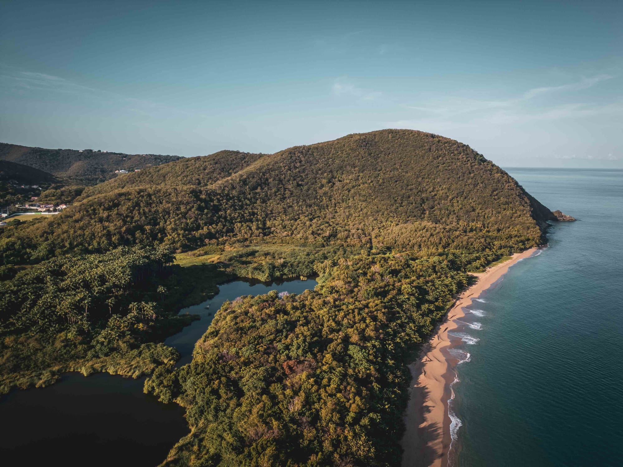 🌴👶🏽 Un moment magique à Grande Anse, Deshaies, Guadeloupe ! 👶🏽🌴