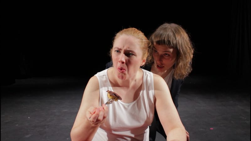 THEM - R&D performance, Tjanrarbíó