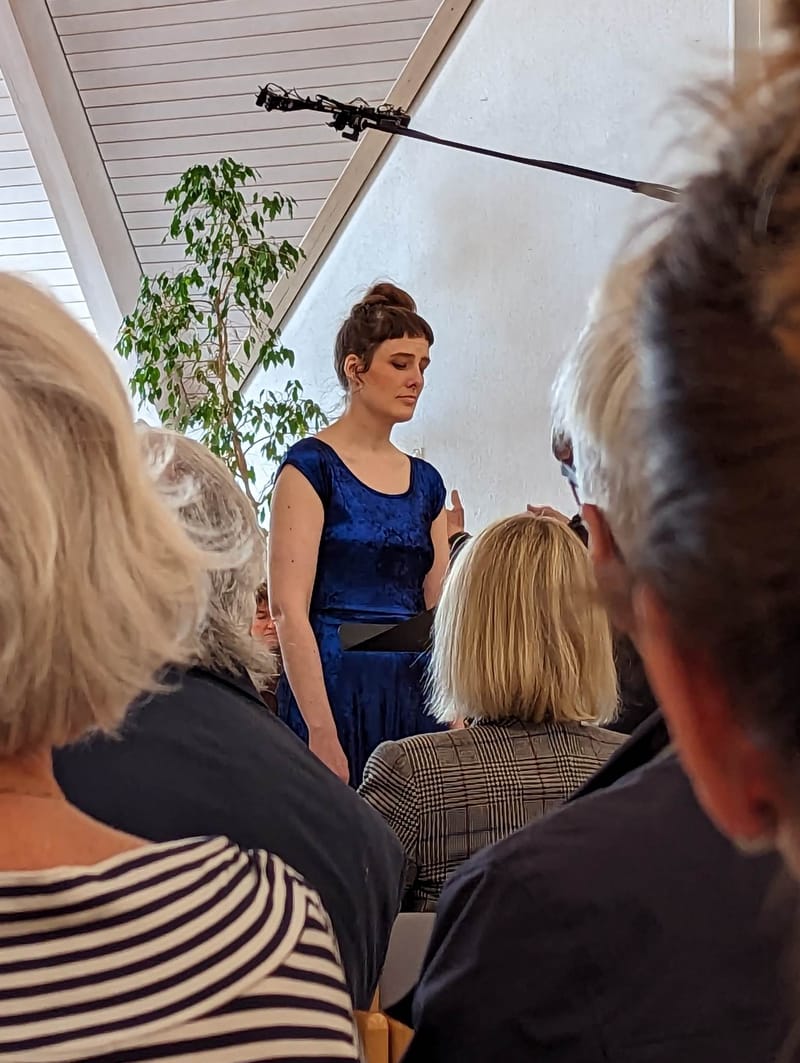 Stills from a concert with the Amateur Symphonic Orchestra in April 2023