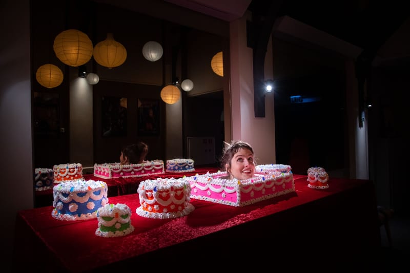 Ég býð mig fram - Nýr heimur (A new world)