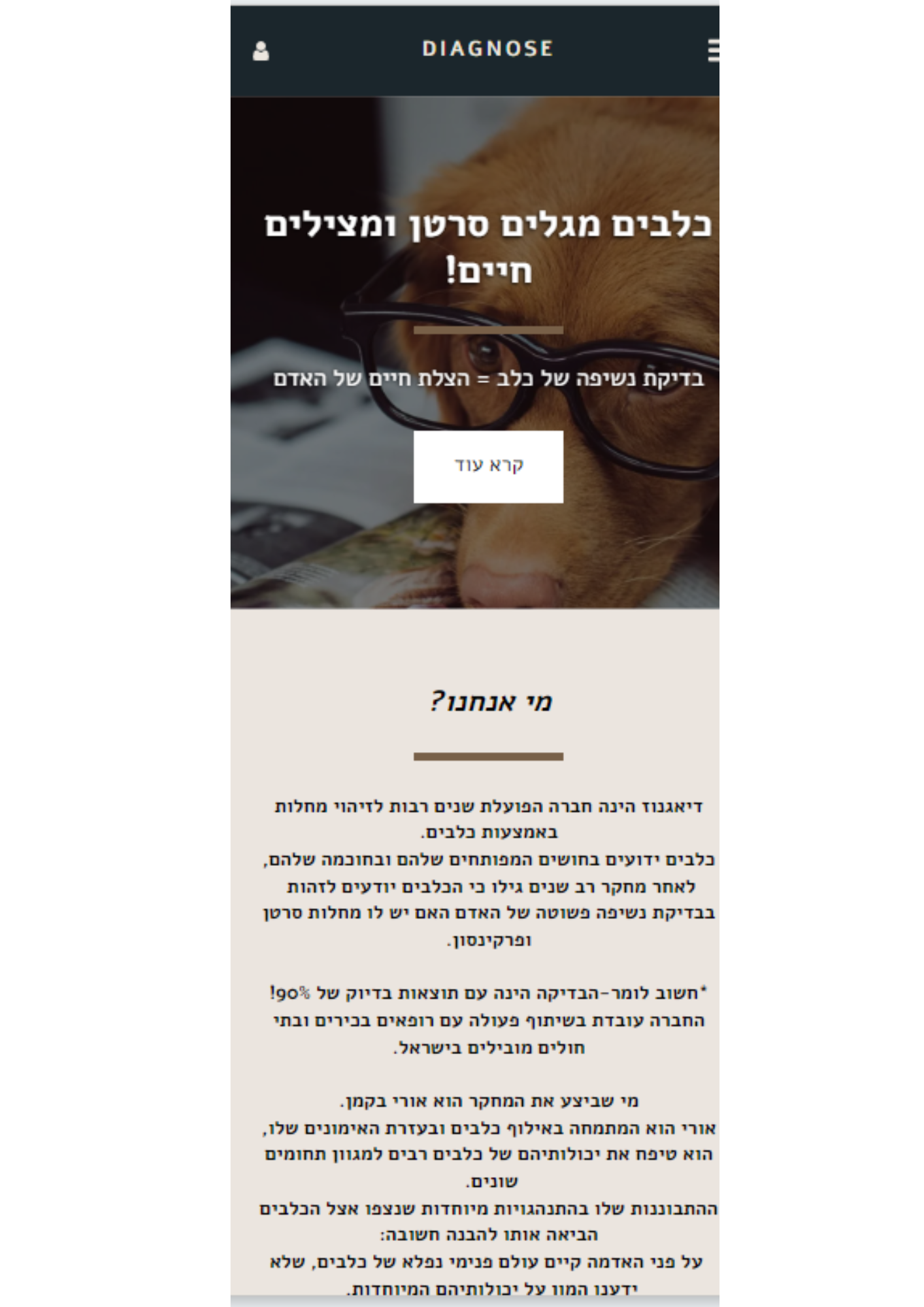 דף נחיתה דיאגנוז 