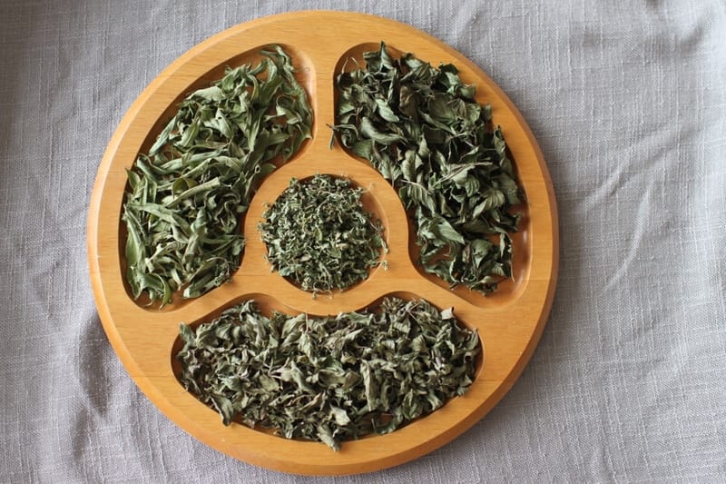 ervas medicinais e aromáticas