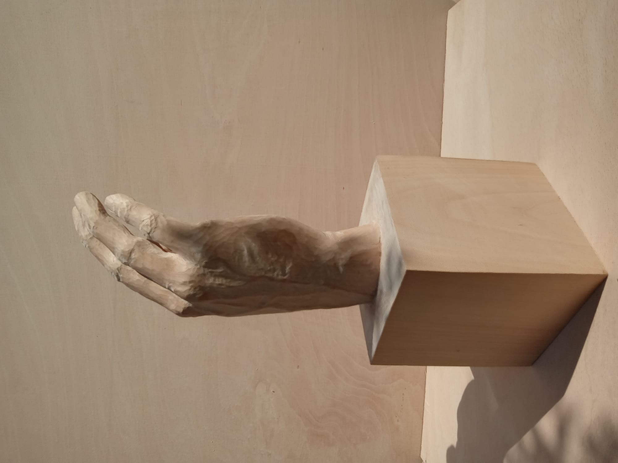 Limewood study of a student's hand