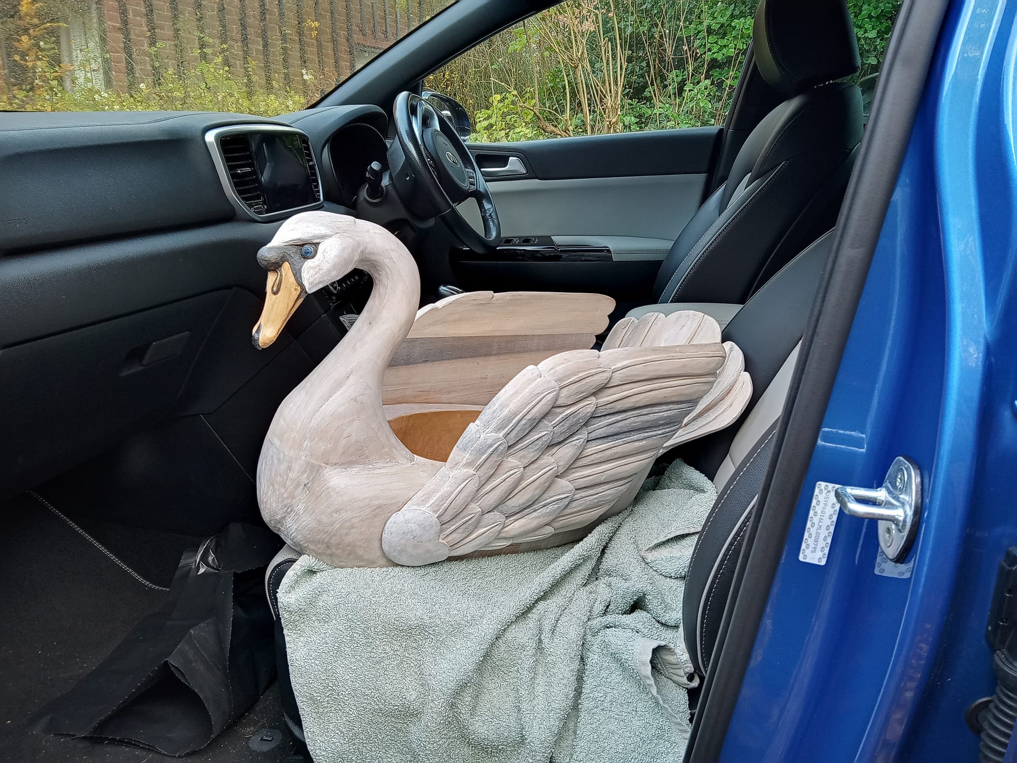 Cedric travelling to his new home, November 2023