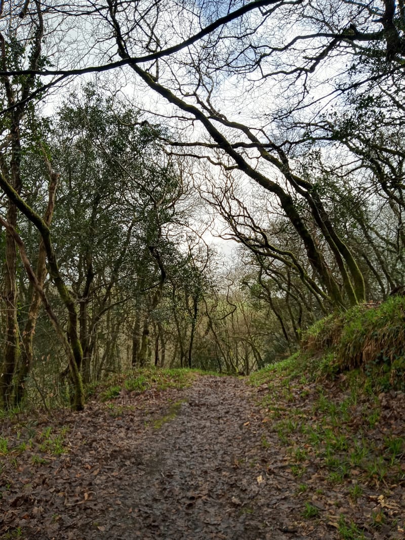 Current and Future work