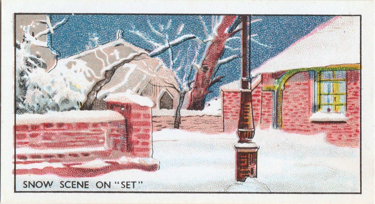 SNOW SCENE