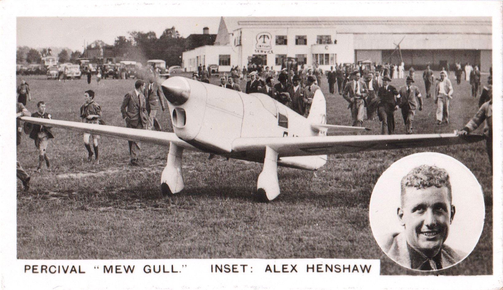 PERCIVAL "MEW GULL" INSET: ALEXANDER HENSHAW